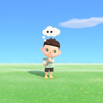 Thinking About New Horizons Items